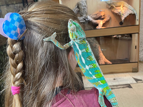 Crocs R Us-Filton必去景点