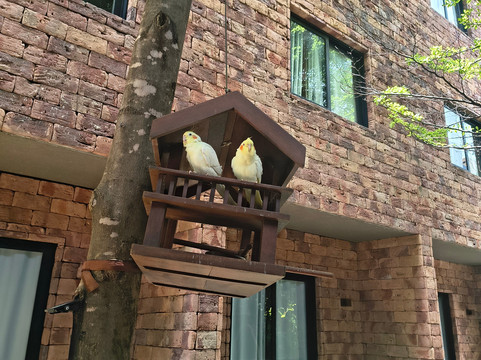 保罗精品酒店主图