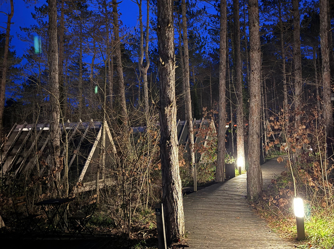 龙圈帐篷营地主图