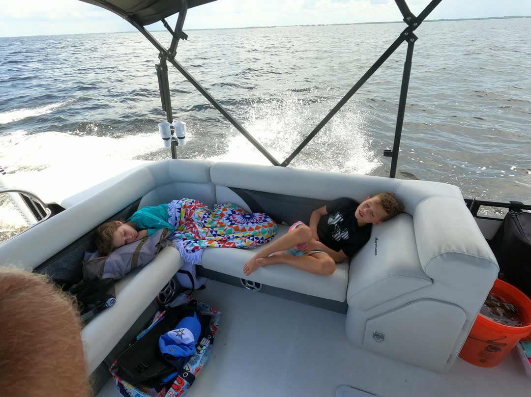 Seal in the Sun Charters