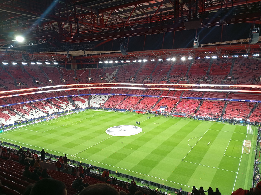 Estádio do Sport Lisboa e Benfica-里斯本必去景点