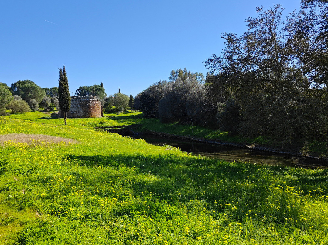Villa Romana de São Cucufate-Vila de Frades必去景点