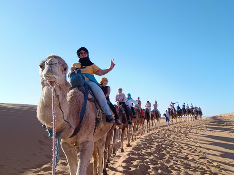 Sunshine Morocco Tours-马拉喀什必去景点