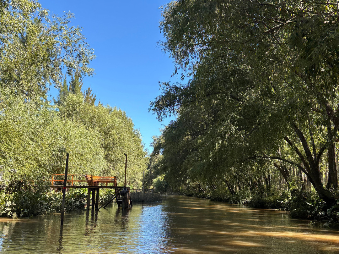 Delta Unplugged-蒂格雷必去景点
