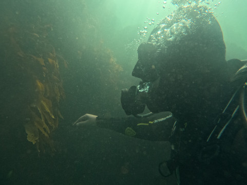 Bravamar Diving Center-Algarrobo必去景点