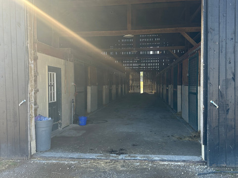 Mill Ridge Farm-列克星敦必去景点