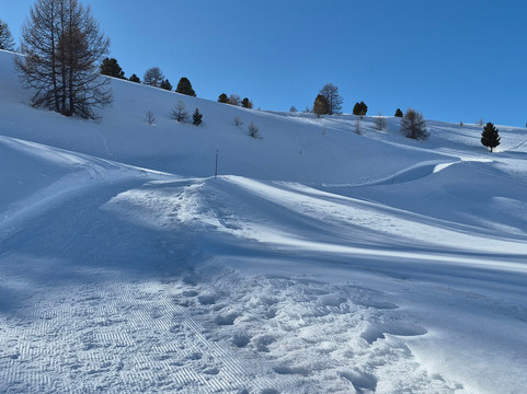 Vars la Forêt Blanche-Vars必去景点