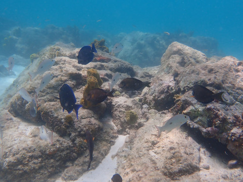Seabob Aruba-Noord必去景点