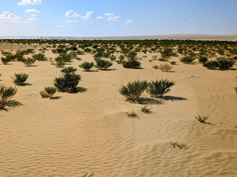 Fayoum Oasis-法尤姆必去景点