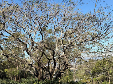Hacienda La Chimba-圣安娜必去景点