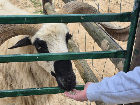 Quinta Fotoplanet Farm-阿尔布赞拉必去景点