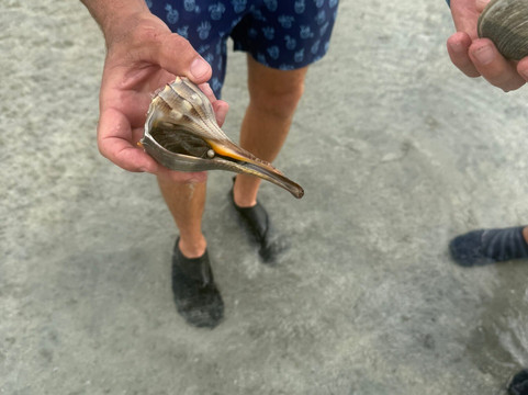 Sea N Things, LLC-Indian Shores必去景点