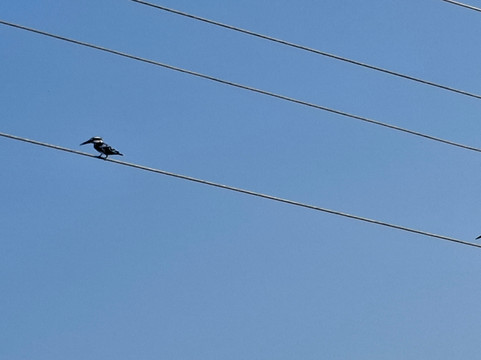 Wildlife Wonders Sri Lanka-唐卡拉必去景点