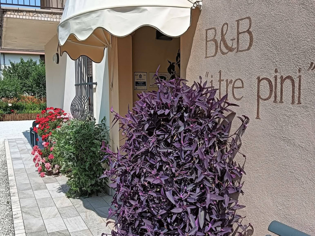 B&b I Tre Pini主图