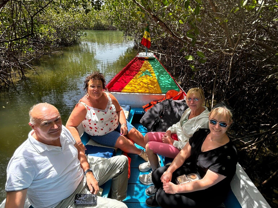 Parc National du Delta du Saloum-Ndangane必去景点