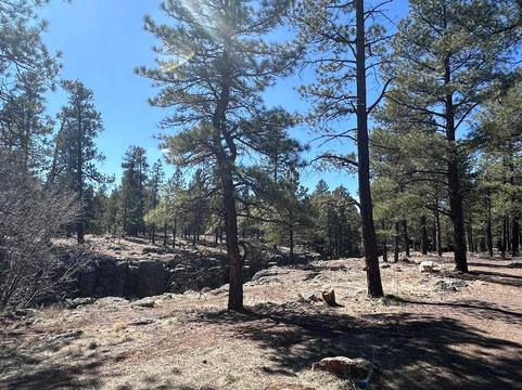 Museum of Northern Arizona-弗拉格斯塔夫必去景点