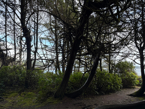 Amphitrite Point Lighthouse-尤克卢利特必去景点