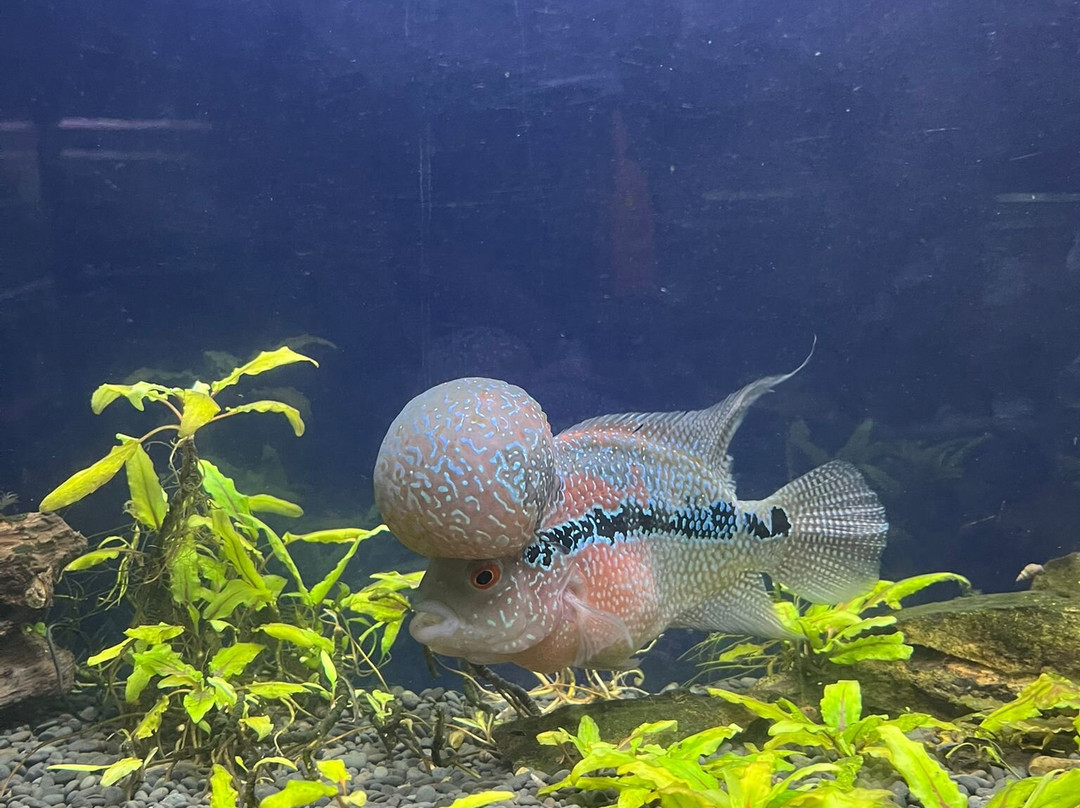 Regional Natural History Museum of Plovdiv-普罗夫迪夫必去景点