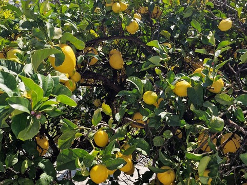 Cycle Sierra Nevada-格拉纳达必去景点