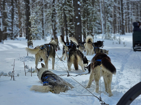 Good Times Adventures-布雷肯里奇必去景点