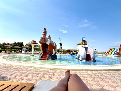 Dromedarius-伊卡必去景点