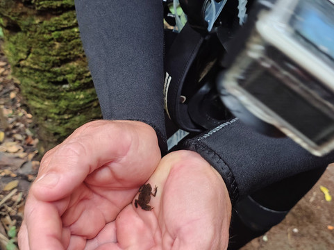 Aquario Natural-博尼图必去景点