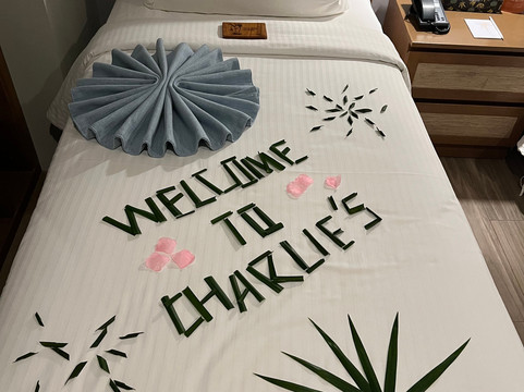 查理的爱妮岛-由HII管理主图