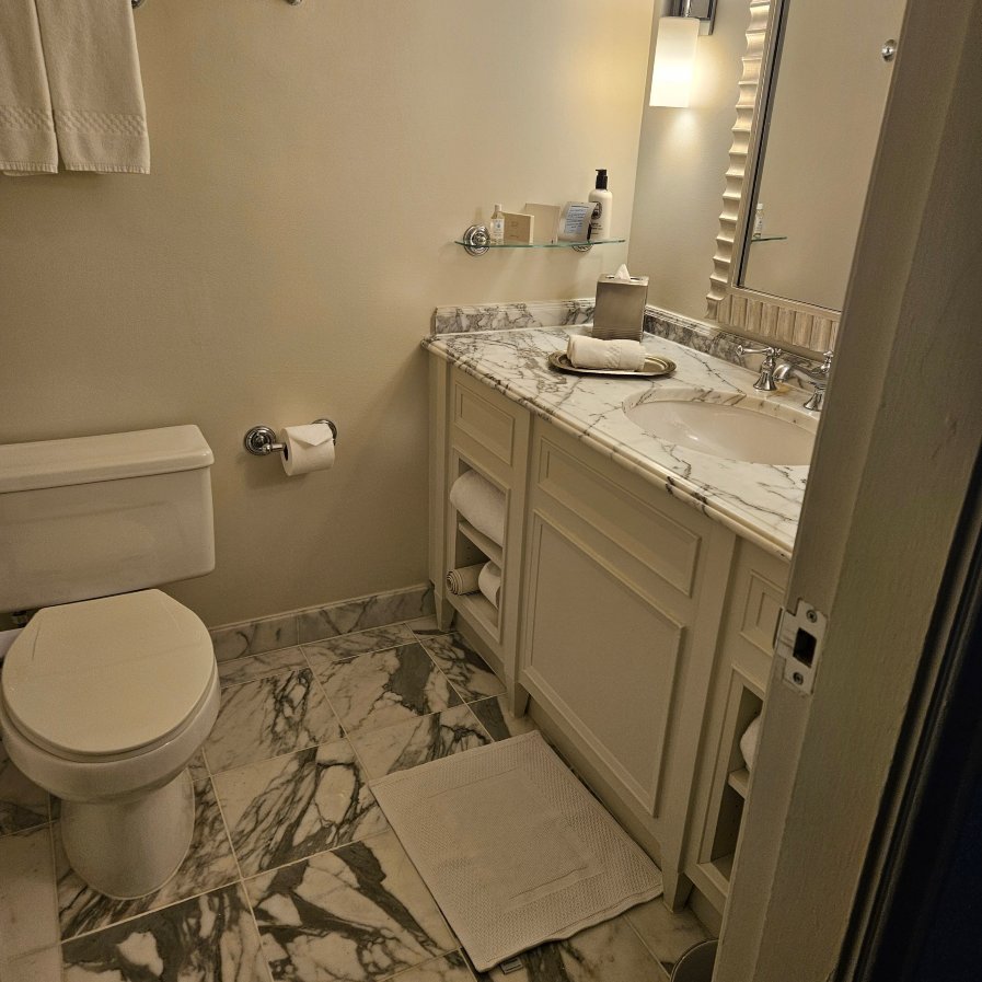 五角大楼城丽思卡尔顿酒店-浴室