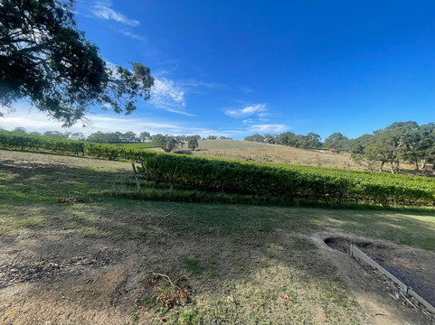 朗维尤葡萄园酒店主图