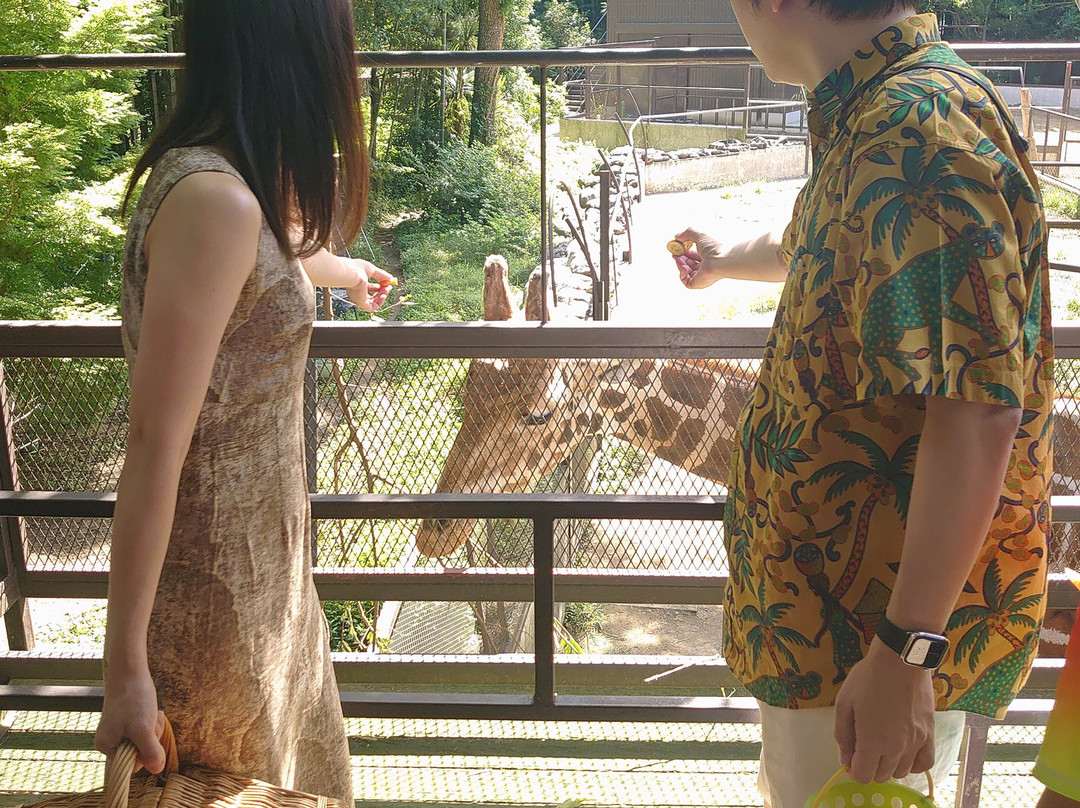 Sayuri World-市原市必去景点