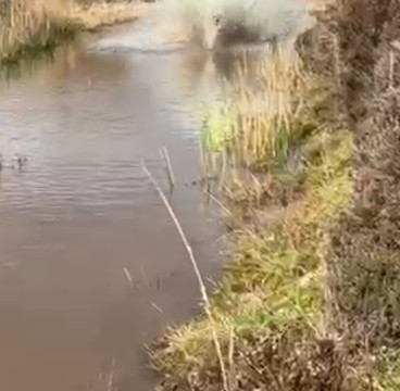 Dirt Bike Tours Ireland-奥马必去景点