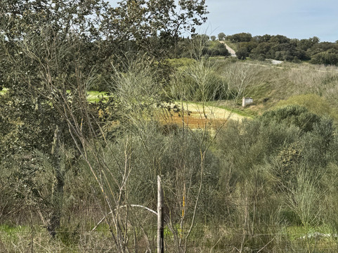 Tapada de Coelheiros-Igrejinha必去景点