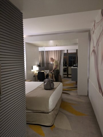 开罗马阿迪假日酒店-官方