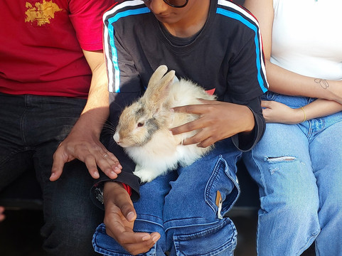 Prani, The Pet Sanctuary-班加罗尔必去景点