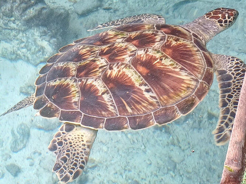 Tam Tours-桑给巴尔市必去景点