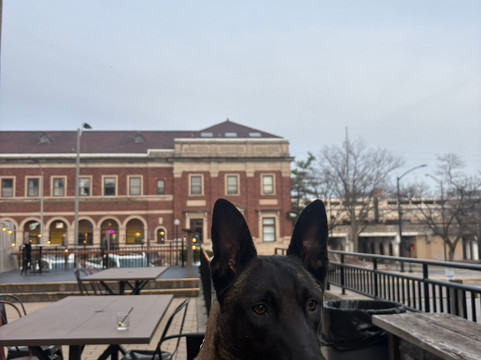 Pour Bros. Taproom-尚贝恩必去景点