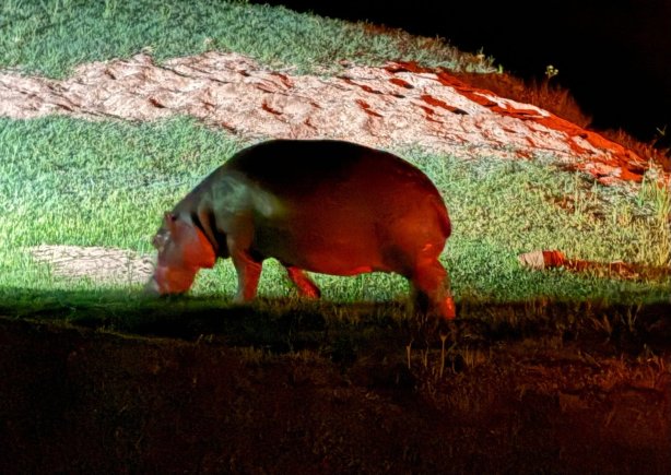 河马空心庄园-官方
