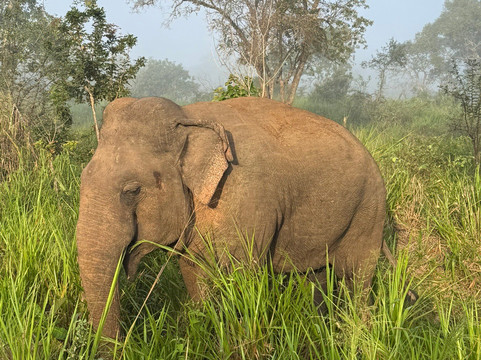 Tour Buddy-卡图纳耶克必去景点