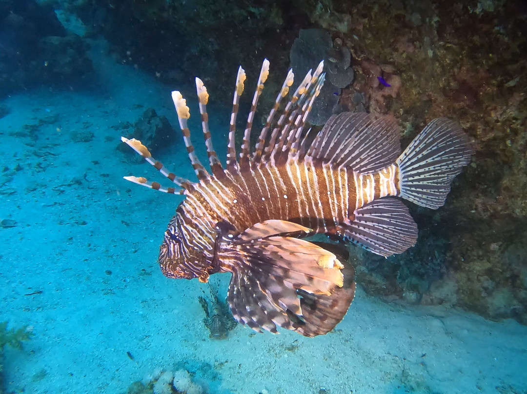 Extra Divers Dahab-达哈卜必去景点