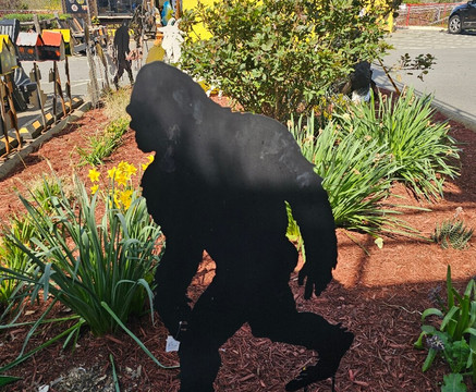 Goats on the Roof-皮金福奇必去景点