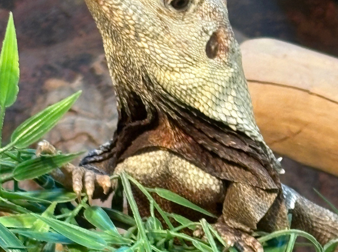 Natureland Seal Sanctuary-斯凯格内斯必去景点