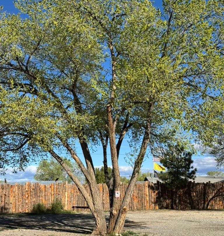 LUXX LODGE Glamping and Taos RV Park