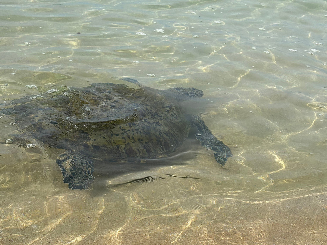 Zion Lanka Tours-Katana必去景点
