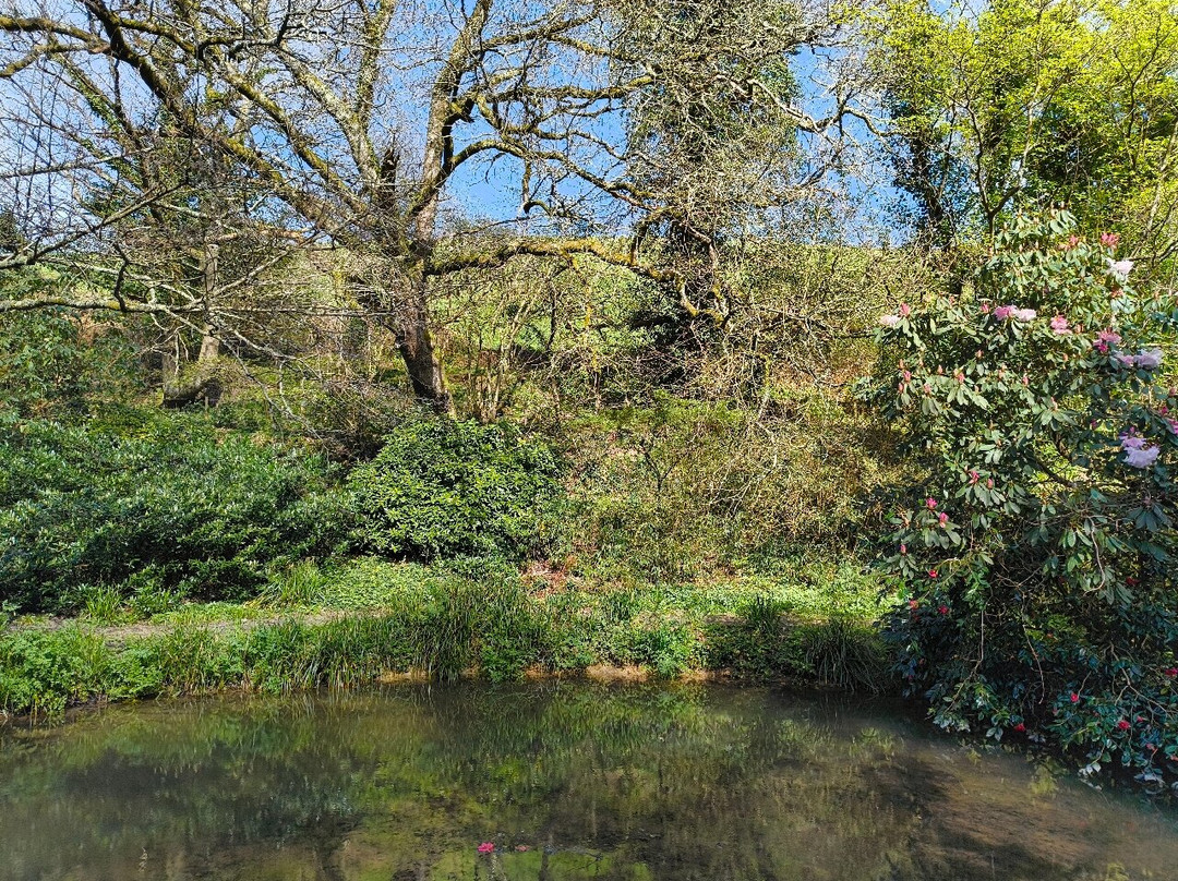 Fast Rabbit Farm Gardens-达特茅斯必去景点