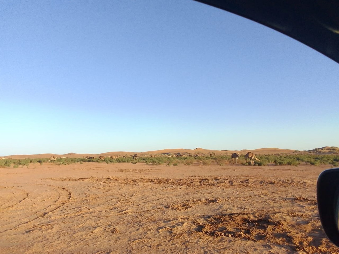 Desert Foum Zguid-Foum Zguid必去景点