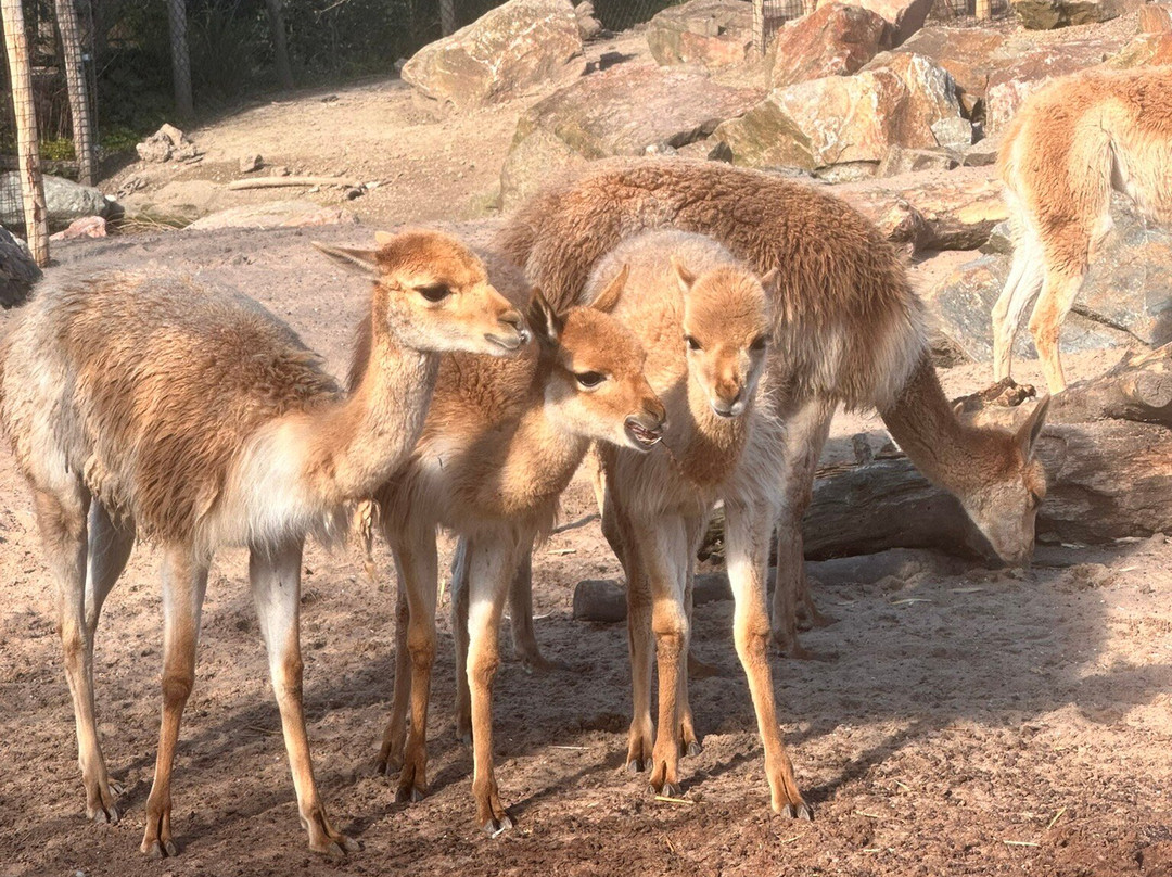 Vogelpark Avifauna-Alphen aan den Rijn必去景点