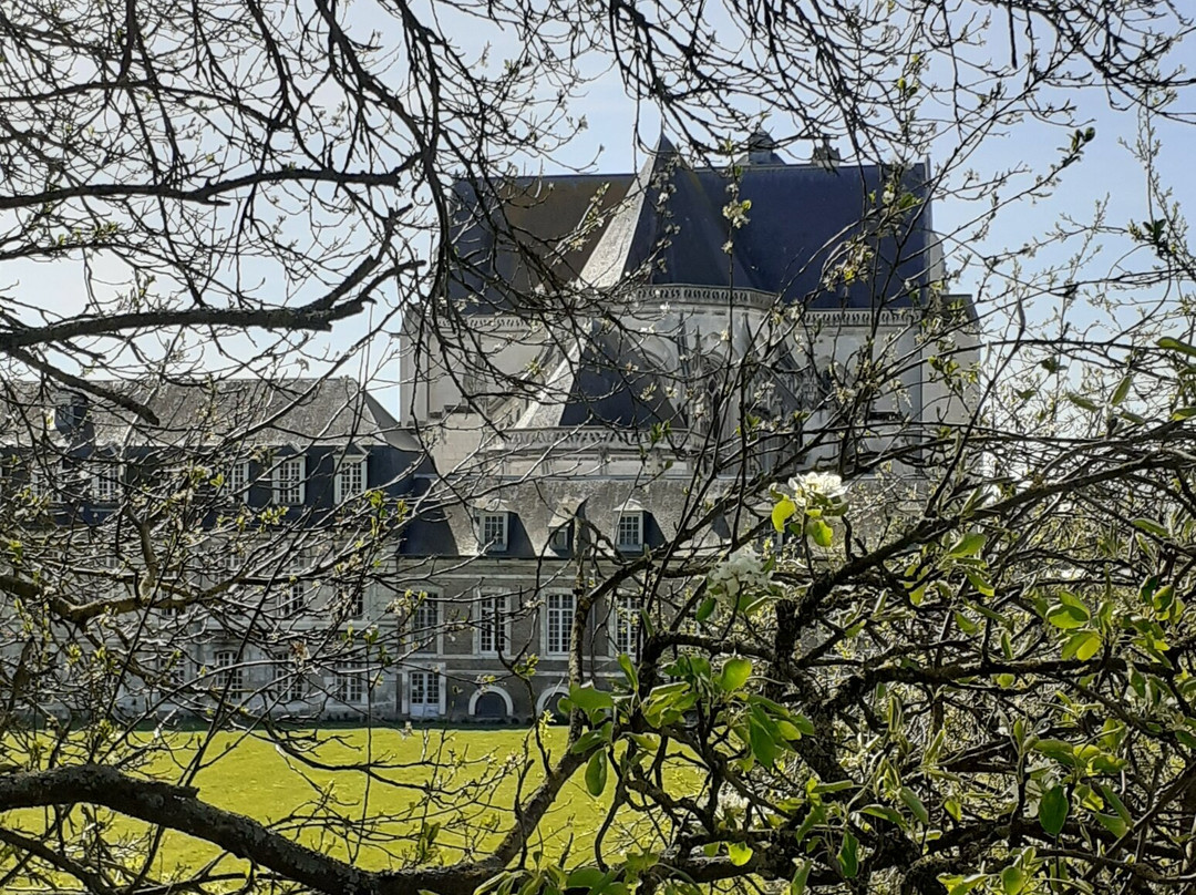 Abbaye de Saint-Riquier - centre culturel départemental-St Riquier必去景点