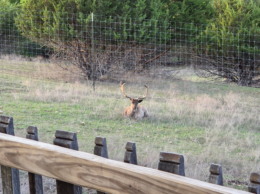 Blue Hills Ranch-McGregor必去景点