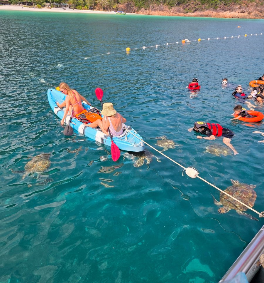 Redang Pelangi Resort-官方