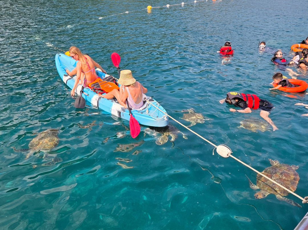 Redang Pelangi Resort主图